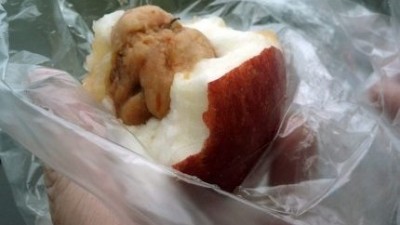 사과 속에 또 사과가 자라네