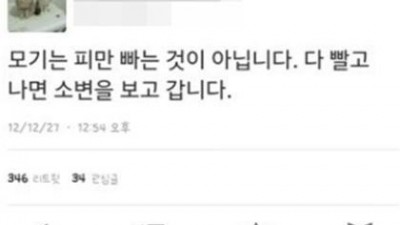아무도 몰랐던 모기의 비밀 “아셨나요? 피 빨고 소변까지