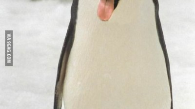 최근 포토샵 동향