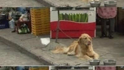 파일 전송 중 실사판 “개폴더로 날아오는 A4용지?”