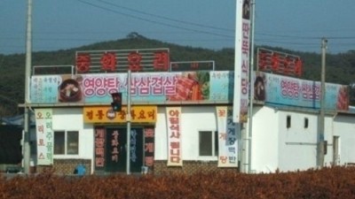 식당계의 메시… 히딩크의 토탈 사커 떠올라