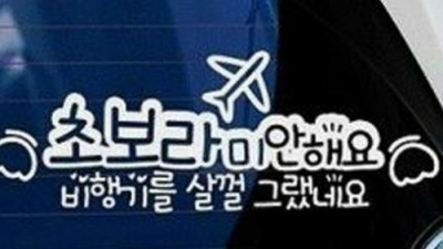 초보운전자의 반전 있는 사과