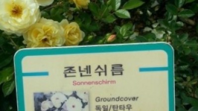 헤어질때 주는 꽃?