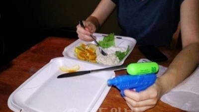 고양이 접근 막는 법 왼손은 거들 뿐