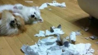 안한 척 끝판왕 “왜 지금 무슨일 있어요?”