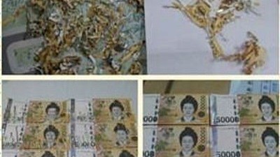 남편의 대단한 의지, 파쇄기 들어간 5만원이…
