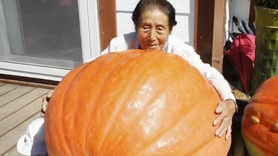 보은 77㎏짜리 호박 “초대형 슈퍼호박 탄생…깜짝”