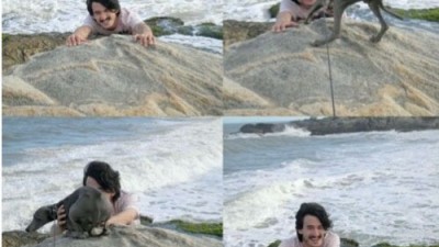 상황을 오해한 개, ‘절벽에 매달린 주인 구하려고 보니..’