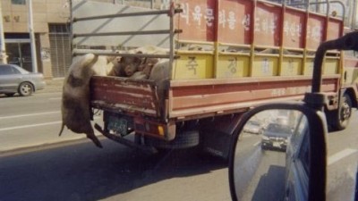 아, 잠깐! 나 아직 안탔다구요!!