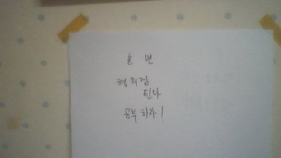 동생이 공부해양 하는 이유