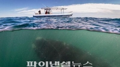수면 아래 거대 고래 사진 눈길.. “합성 아냐?”