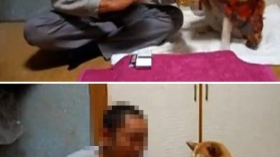 음주 말리는 개, 주인이 술잔 들자 앞발로…‘깜짝’