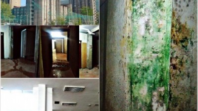 최악의 기숙사, 물 새고 곰팡이까지.. 해외 네티즌 ‘경악’