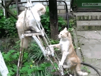 어디서 까불어~!
