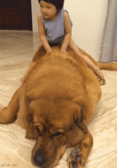침대로 사용하는 개
