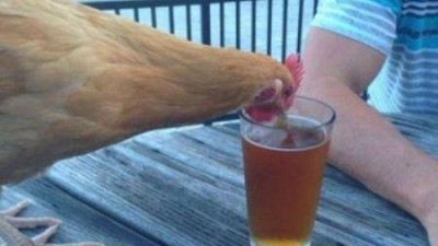 치맥
