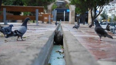 잠복..살금살금
