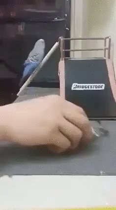 보드타기