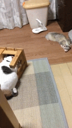 대치 현장