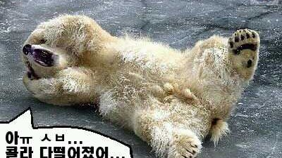 콜라줘