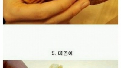 붕어빵 종류