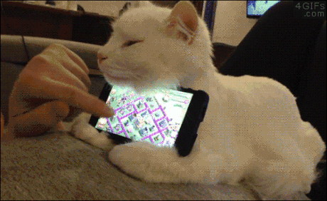고양이 패드 받침대