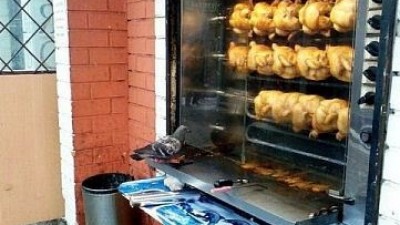 어디서 마니봤는데?