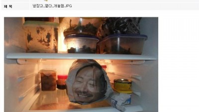 냉장고 열다가 개놀람