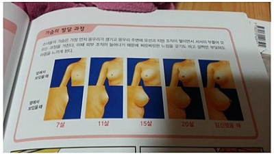 잘못된 성교육