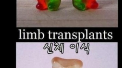 곰사냥 젤리