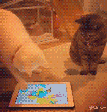 화풀이 하는 냥이