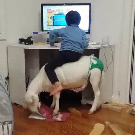 엄마가 컴퓨터 의자를 치우면