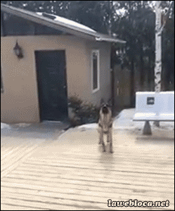 타이밍 실패