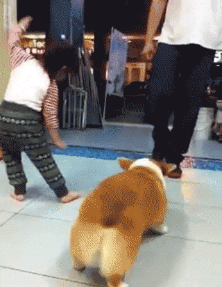 엉덩이 실룩실룩